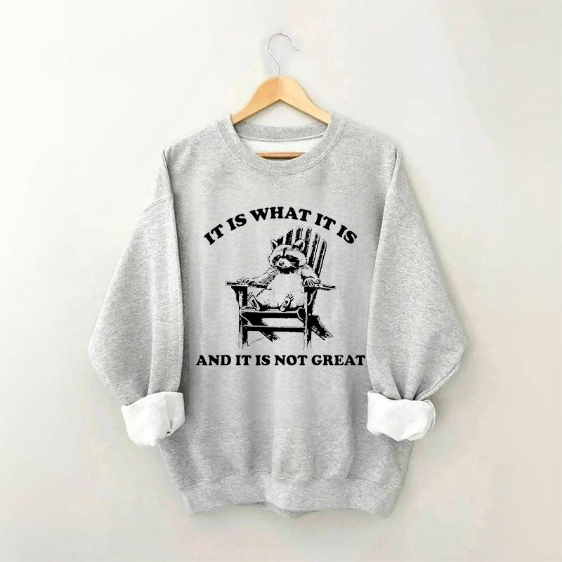 It Is What It Is And It Is Not Great Funny Raccoon Sweatshirt