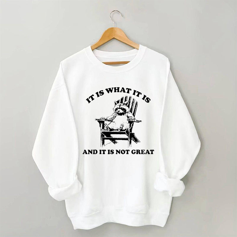 It Is What It Is And It Is Not Great Funny Raccoon Sweatshirt