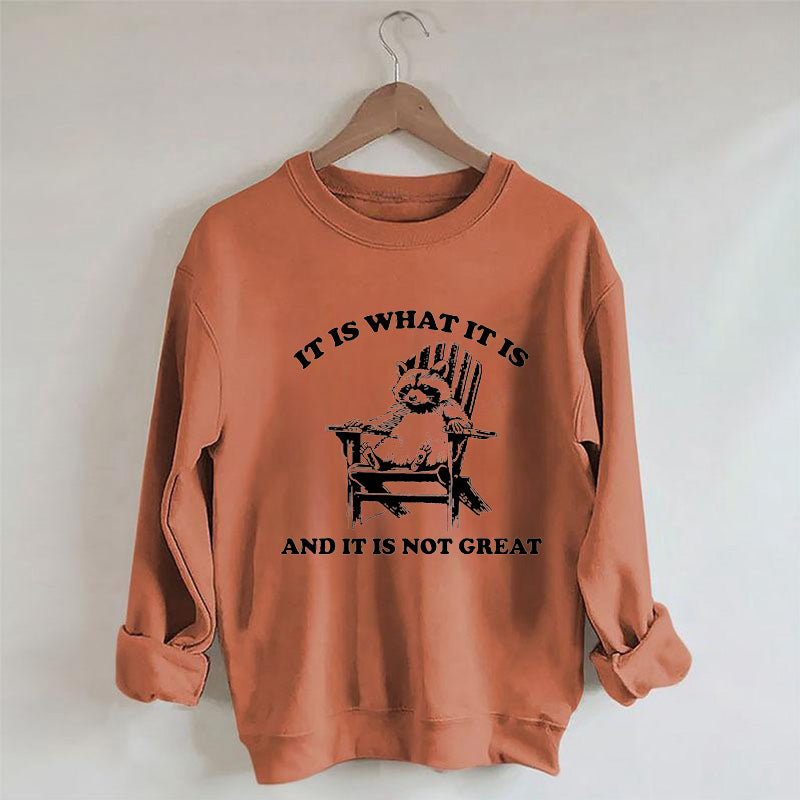 It Is What It Is And It Is Not Great Funny Raccoon Sweatshirt