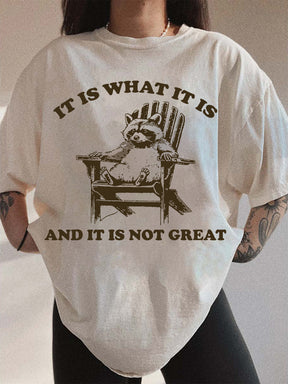 It Is What It Is and It Is Not Great T-shirt