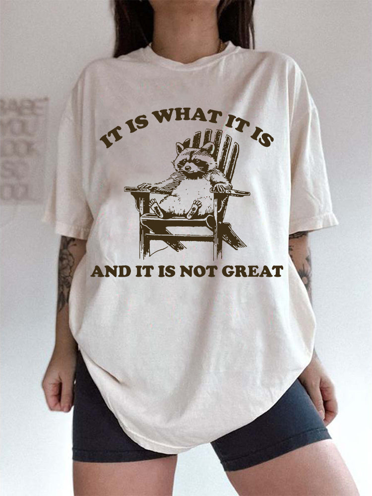 It Is What It Is and It Is Not Great T-shirt