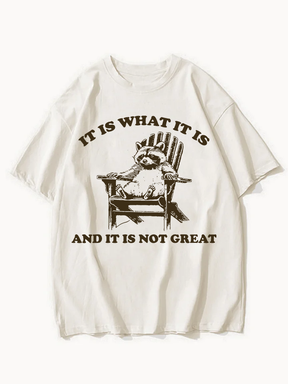 It Is What It Is and It Is Not Great T-shirt