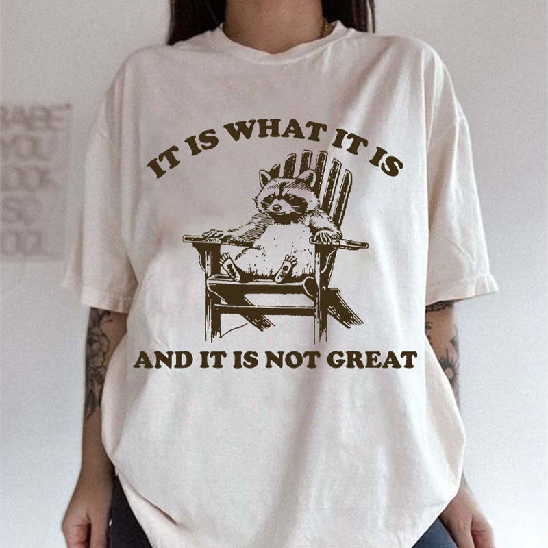 It Is What It Is and It Is Not Great T-shirt